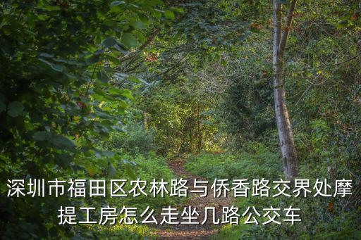 深圳市福田區農林路與僑香路交界處摩提工房怎么走坐幾路公交車