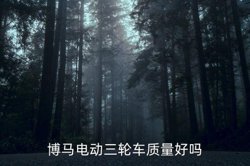 博馬電動三輪車質量好嗎