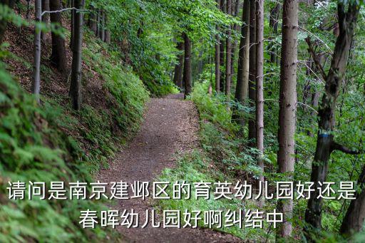 請問是南京建鄴區(qū)的育英幼兒園好還是春暉幼兒園好啊糾結中