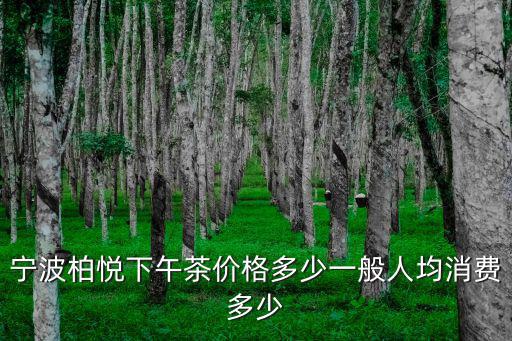 寧波柏悅下午茶價格多少一般人均消費多少