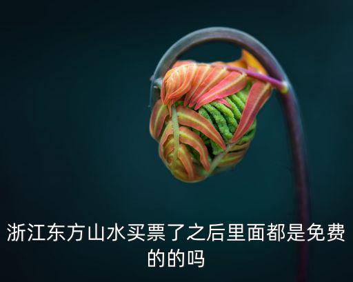 浙江東方山水買票了之后里面都是免費的的嗎