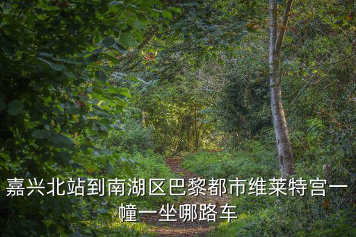 嘉興巴黎都市，嘉興市 巴黎都市樓盤開盤時間大概在什么時候 房價大概要多少
