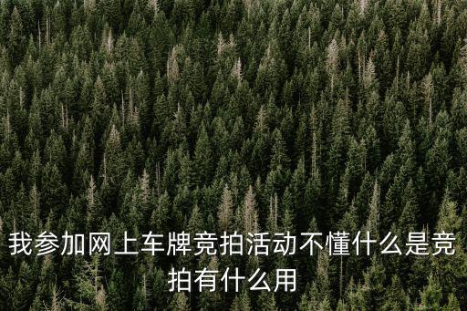 我參加網(wǎng)上車牌競拍活動不懂什么是競拍有什么用