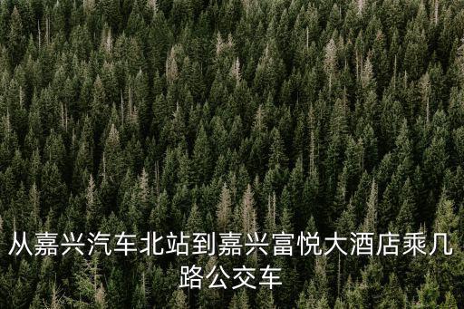 從嘉興汽車北站到嘉興富悅大酒店乘幾路公交車