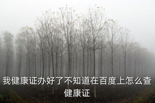 查健康證，我健康證辦好了不知道在百度上怎么查健康證