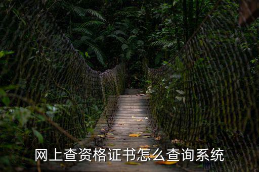 網上查資格證書怎么查詢系統