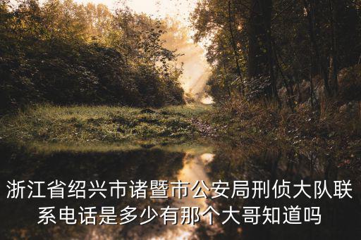 諸暨市公安局，楓橋派出所是哪個省的