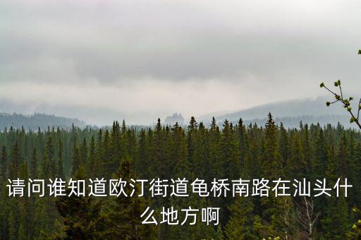 請問誰知道歐汀街道龜橋南路在汕頭什么地方啊