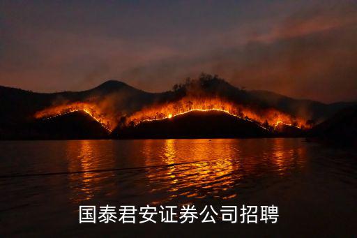 國泰君安證券公司招聘