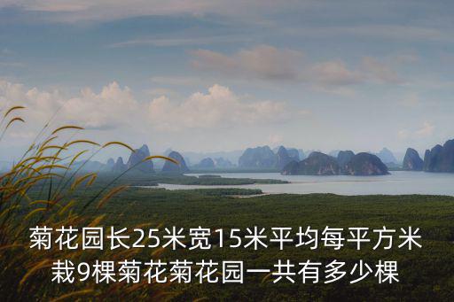 菊花園，西安現(xiàn)在去哪可以看菊花展
