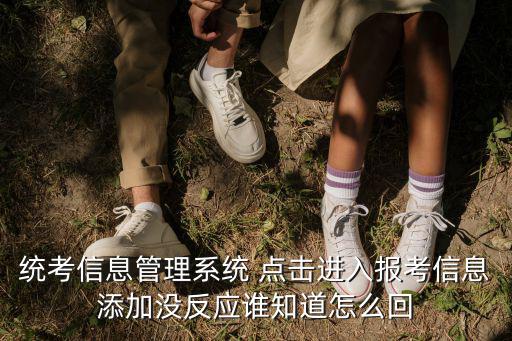 統考信息管理系統 點擊進入報考信息添加沒反應誰知道怎么回
