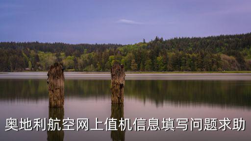 奧地利航空網上值機信息填寫問題求助