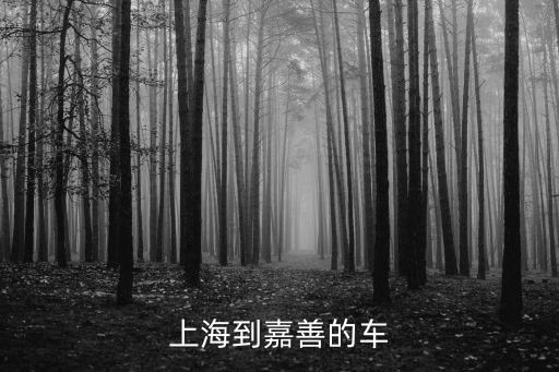 上海到嘉善，上海到嘉善的車