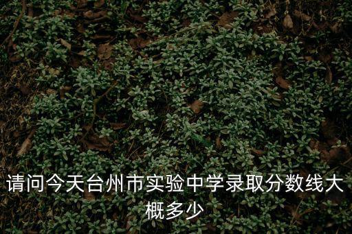 請問今天臺州市實驗中學錄取分數線大概多少