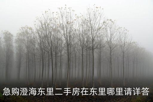 澄海二手房，求汕頭澄海免中介租房網(wǎng)汕頭澄海房屋出租汕頭澄海二手房出售信息