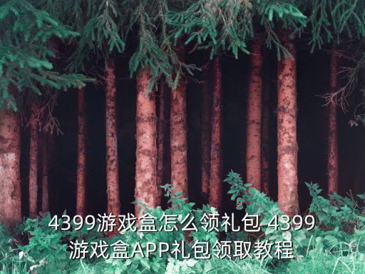 4399游戲盒怎么領禮包 4399游戲盒APP禮包領取教程