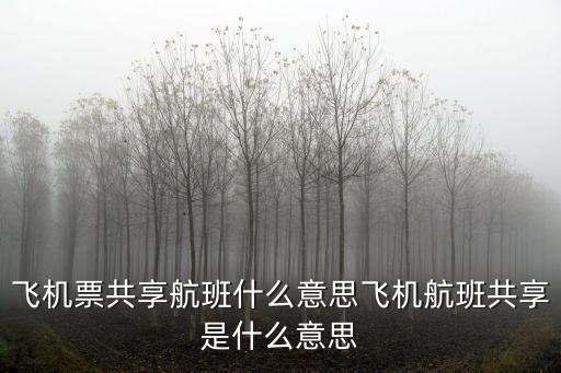 共享航班，共享航班是不是表示南航的空乘也會到東航的航班上飛行