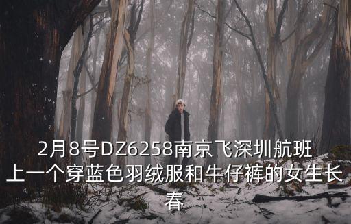 dz6258，DZ 是什么