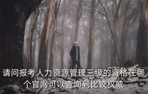 請(qǐng)問(wèn)報(bào)考人力資源管理三級(jí)的資格在哪個(gè)官網(wǎng)可以查詢到比較權(quán)威