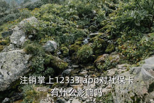 注銷掌上12333 app對社保卡有什么影響嗎