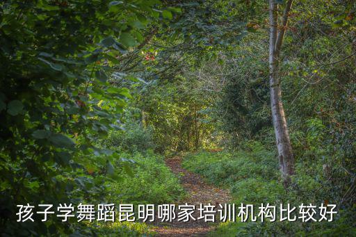 孩子學舞蹈昆明哪家培訓機構比較好