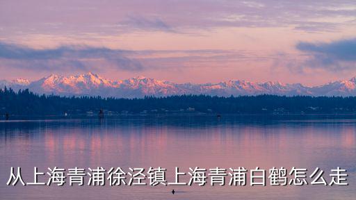 從上海青浦徐涇鎮(zhèn)上海青浦白鶴怎么走