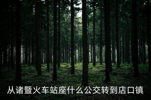 從諸暨火車站座什么公交轉(zhuǎn)到店口鎮(zhèn)