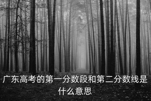 廣東高考的第一分數段和第二分數線是什么意思