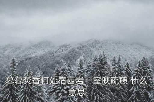 暮暮焚香何處宿西巖一室映疏藤 什么意思