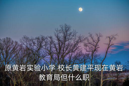原黃巖實驗小學 校長黃建平現在黃巖教育局但什么職