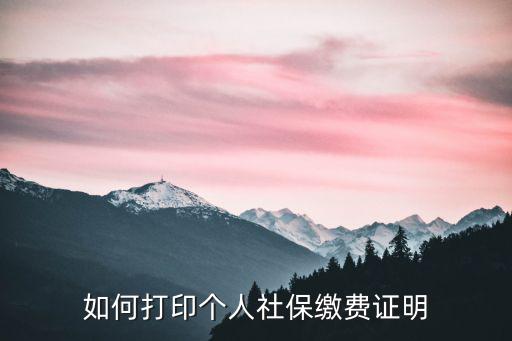 如何打印個人社保繳費證明