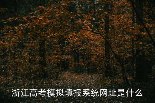 浙江高考模擬填報系統(tǒng)網(wǎng)址是什么
