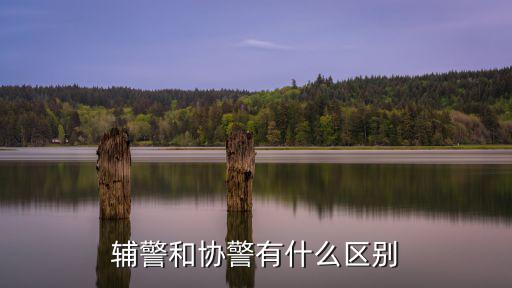 中國輔警，輔警是事業(yè)編制嗎