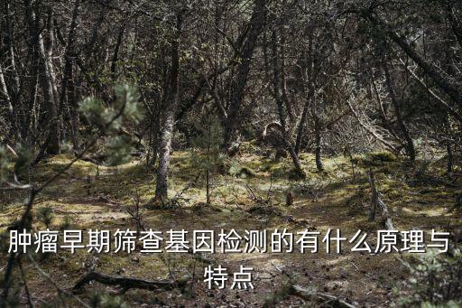 早篩是檢查什么項目，早篩篩啥么事是b超還是其它檢查
