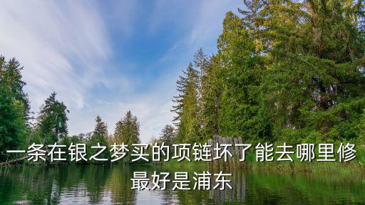 一條在銀之夢買的項鏈壞了能去哪里修最好是浦東