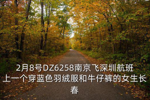 2月8號DZ6258南京飛深圳航班上一個穿藍色羽絨服和牛仔褲的女生長春
