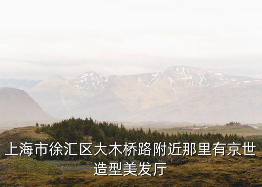 上海市徐匯區(qū)大木橋路附近那里有京世造型美發(fā)廳