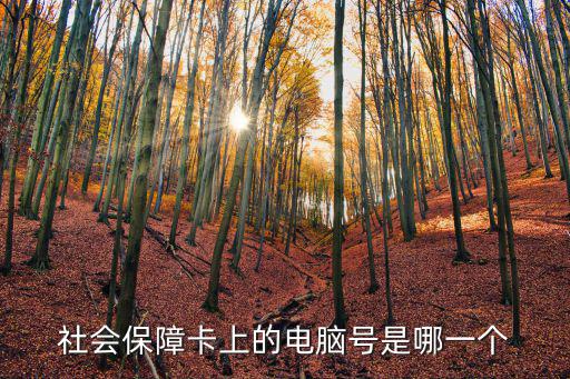 社保電腦號(hào)是什么，社會(huì)保障卡上的電腦號(hào)是哪一個(gè)
