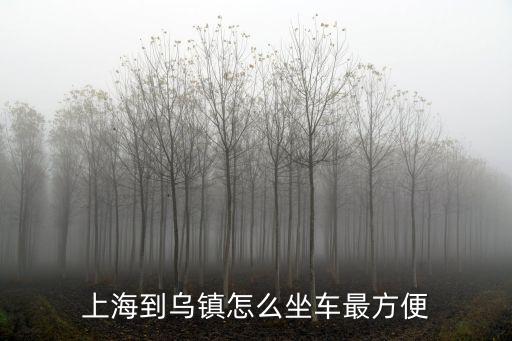 上海到烏鎮(zhèn)怎么坐車(chē)最方便