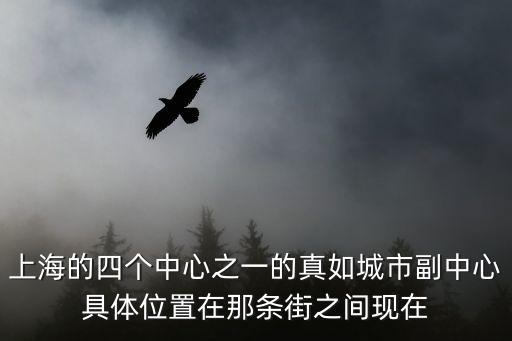 上海真如，上海的四個中心之一的真如城市副中心具體位置在那條街之間現在