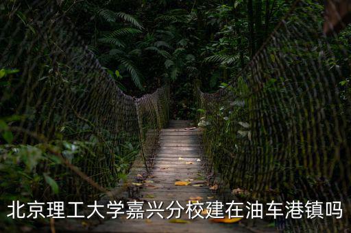 北京理工大學(xué)嘉興分校建在油車(chē)港鎮(zhèn)嗎