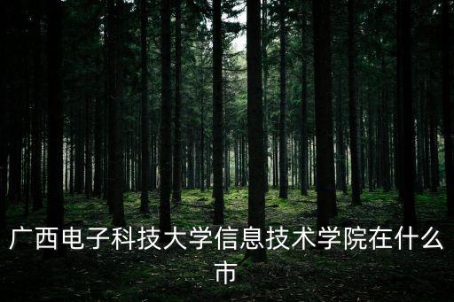 廣西電子科技大學，廣西電子科技大學信息技術學院在什么市