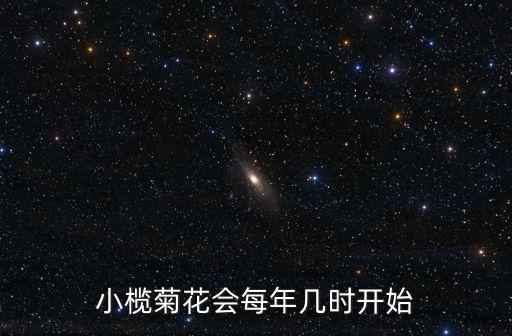 小欖菊花會每年幾時開始