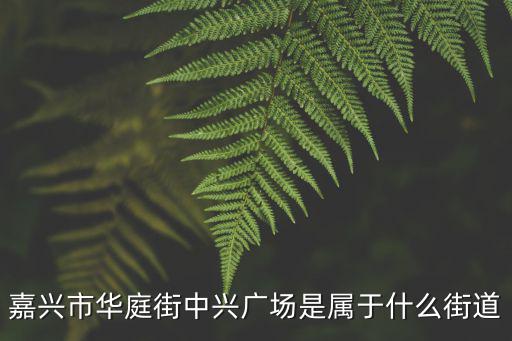華庭街，關于嘉興華庭街
