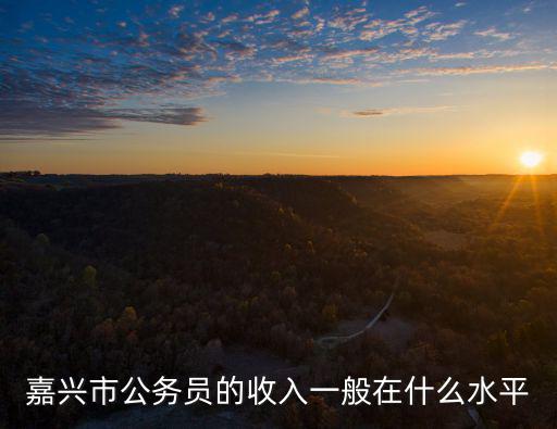 嘉興市公務員的收入一般在什么水平