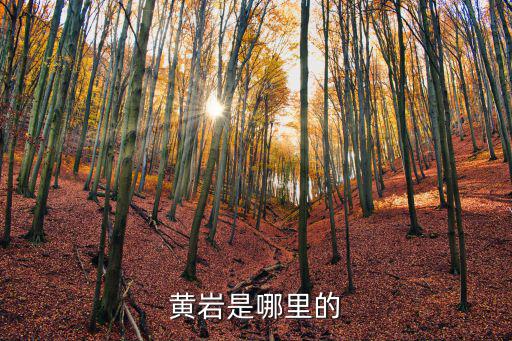 黃巖，黃巖是在哪兒