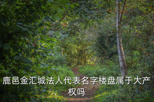 鹿邑金匯城法人代表名字樓盤屬于大產權嗎