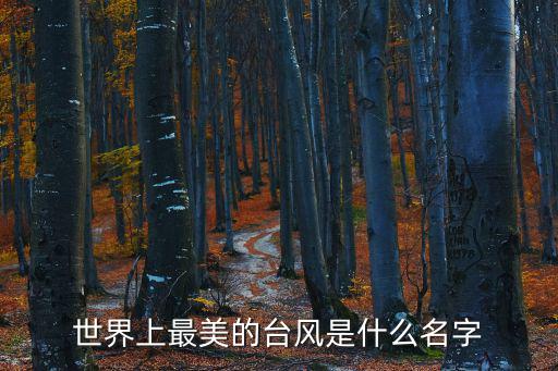 臺風圖片，世界上最美的臺風是什么名字