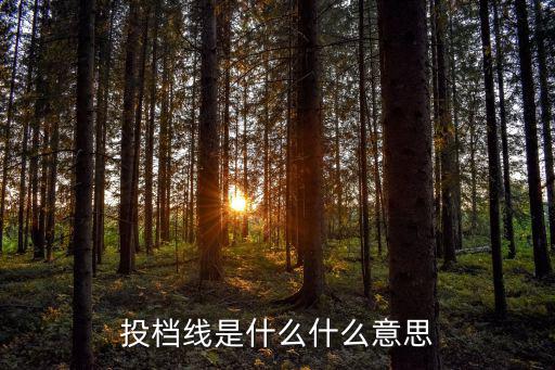 大學投檔線，請問大學的投檔線指什么是不是超過投檔線就可以被錄取嗎  搜