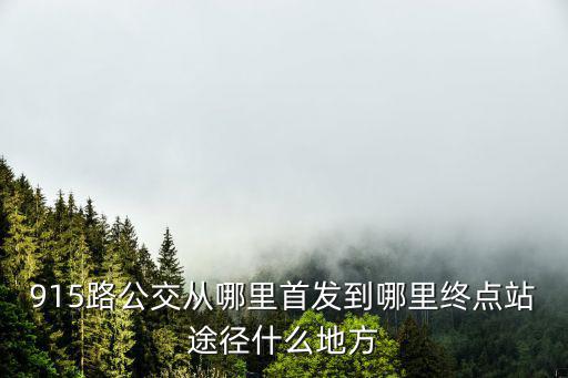 915路公交從哪里首發到哪里終點站途徑什么地方